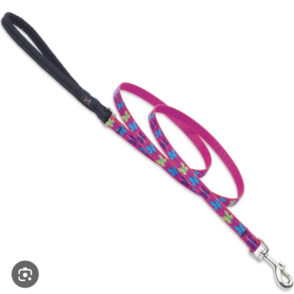 Lupine Colorful Dog Leash with Butterflies